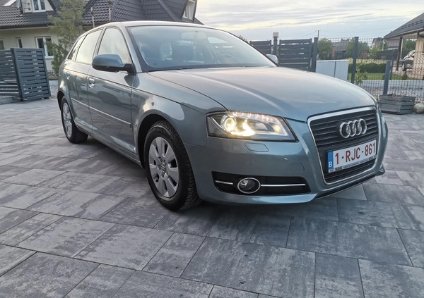 Audi A3 cena 30500 przebieg: 194000, rok produkcji 2010 z Dębica małe 596